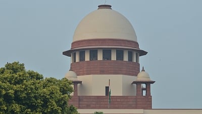 Harassment of women dog feeders to be dealt under criminal law: SC 