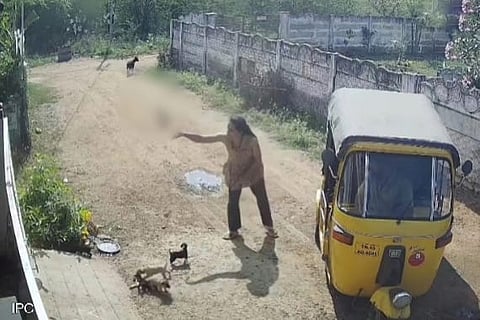 TN: Women arrested for killing stray puppies and injuring child during quarrel
