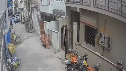 Pet rottweiler attacks 12-year-old in Bengaluru, owner booked