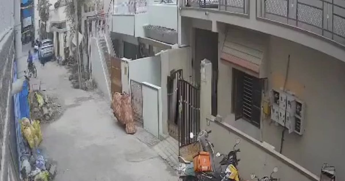 बेंगलुरु में पालतू रॉटवीलर ने 12 साल के बच्चे पर हमला किया, मालिक पर मामला दर्ज किया गया