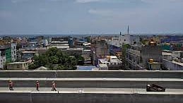 Chennai to lose thrice as many trees as originally estimated for Metro Phase II