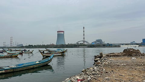 Ennore fish kill leaves thousands of fishing families worried about their livelihoods
