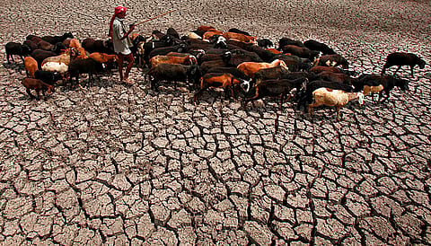  AP Photo/Mahesh Kumar A Mahesh Kumar A
