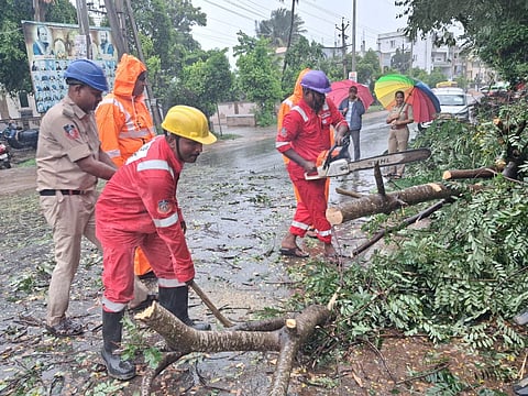 Emergency response workers and police clearing a fallen tree blocking a wet road in the rain using a chainsaw.