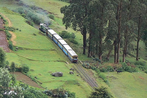 Pushing the hills off the cliff: Why mass tourism is not good for the Nilgiris