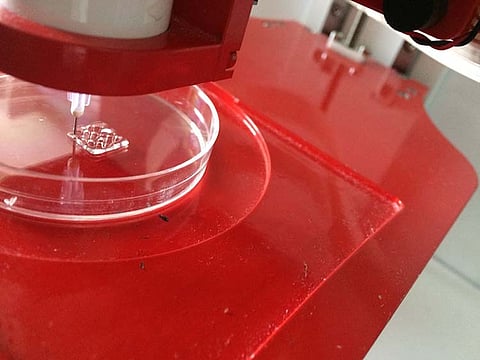 IIT Hyderabad scientists use discarded skin of fish, eels to develop stem cells