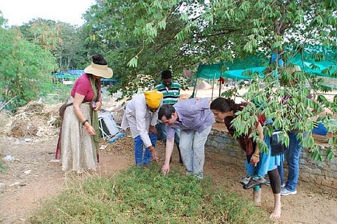 Visitors at the Active Farm school