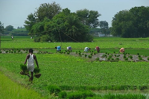 Are Modi govt’s snazzy Kisan apps really helping the Indian farmer?