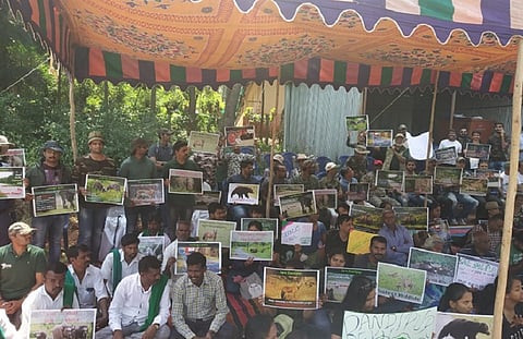 Activists protest govt plan for night traffic, elevated corridor in Bandipur reserve
