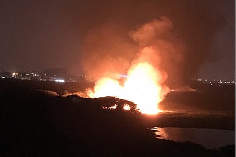 Bellandur lake fire: NGT directs K’taka to submit timelines to treat lake by Jan 29