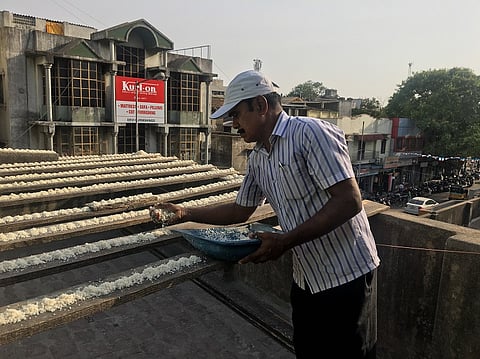 Chennai’s 'Birdman' faces eviction: What will happen to the 2,000 parakeets he feeds?