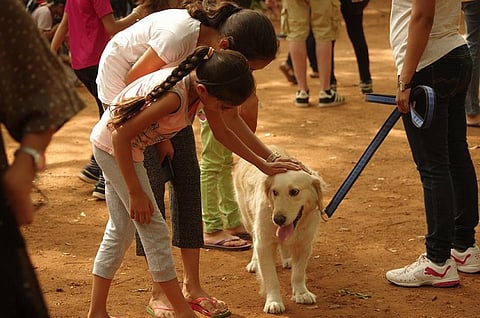Friends of pets: Bengaluru volunteer group carries out drive to license, vaccinate dogs
