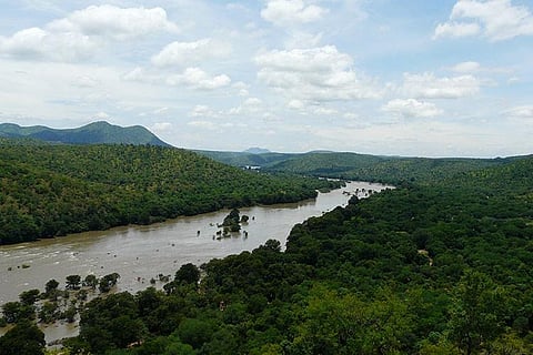 Cauvery river