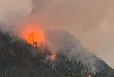 Fire on in Coonoor hill for over 10 days, lack of resources affect fire-fighting 