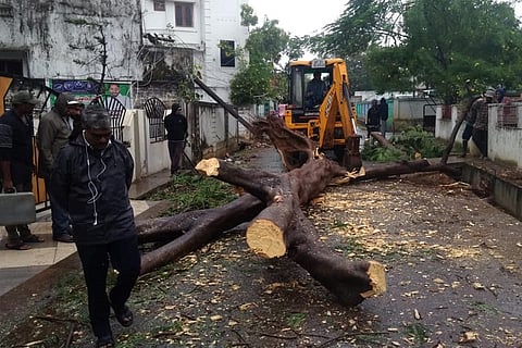 Cyclone Phethai claims two lives in Andhra, weakens after making landfall