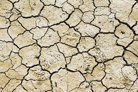 Ninety-eight taluks in the state declared drought hit, North-Karnataka region worst affected