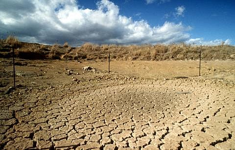 Top stories from Karnataka: 96 taluks declared drought hit in the state