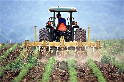 T-Hub, Beanstalk AgTech invite applications for Indo-Australian AgriTech program