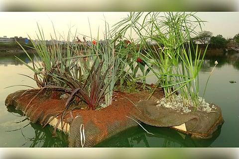 Spotted plants on thermocol floating on this Hyd lake?  Here’s how they will clean it up