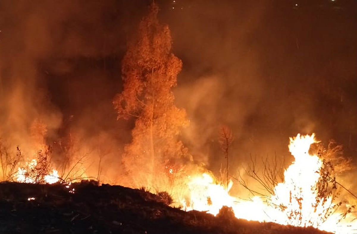 Rising temperatures, not just human activity, drives Himalayan forest fires