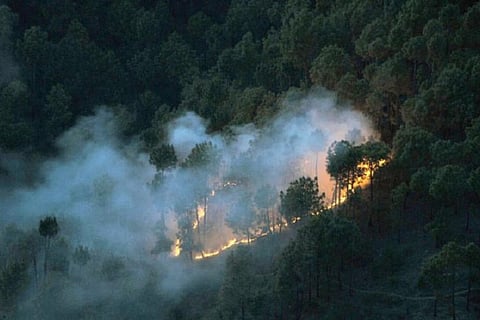 Forest fire in Karnataka tiger reserve destroys 200 acres of trees, second incident this week