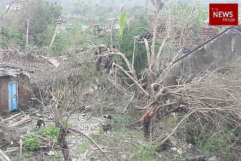 Cyclone Gaja: Here’s how you can be part of relief work in 4 affected TN districts