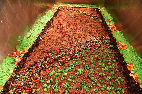 A tonne of delicious dirt: Bengaluru bakers set world record for largest dirt pudding cake 