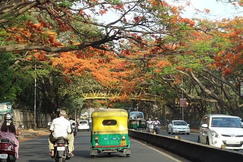 Representative Image of Bengaluru road
