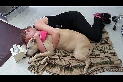 Photos: Woman's snapchats of ailing dog's fabulous last day will leave you teary-eyed