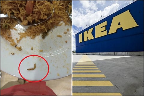 Caterpillar found in IKEA's veg biriyani in Hyd, authorities issue fine of Rs 11,500