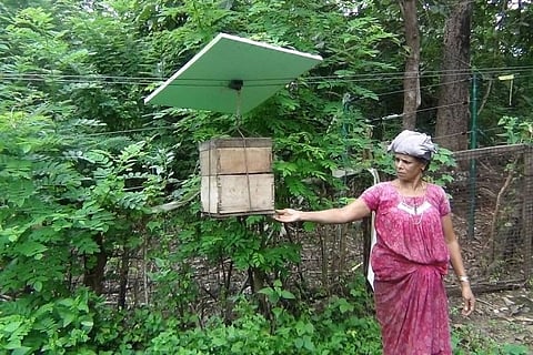 With a beehive fence, Kerala's farmers tell marauding elephants to buzz off