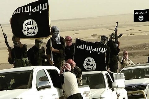 Women’s key role in Islamic State networks, explained