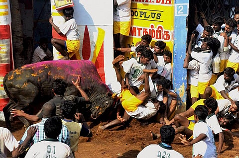 Hunger strike, tonsuring in protest against Jallikattu ban