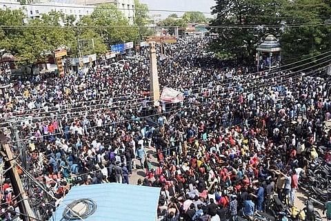 As Jallikattu protests explode, Madras HC, Central Minister say won’t interfere 