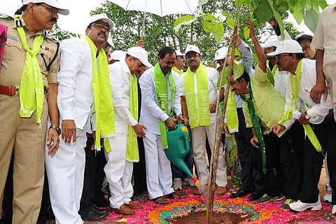 Haritha Haram: Over 25 lakh saplings planted in Hyderabad in a single day