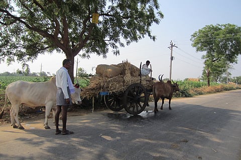 Farmers in Yadgir 