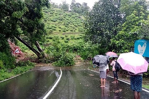 IMD predicts heavy to very heavy rainfall for four days in Kerala