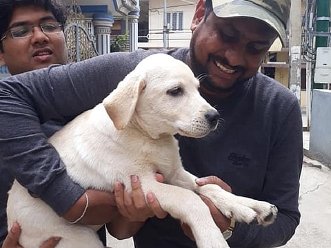 Labrador pup rescued, owners booked for neglect in Bengaluru