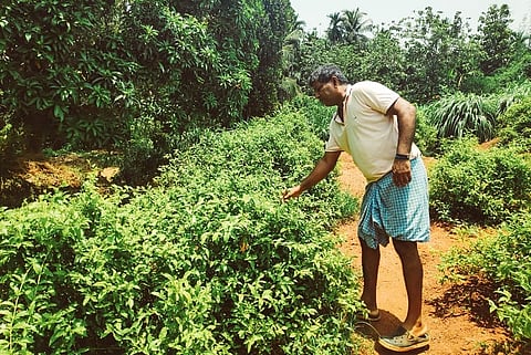 A fight to save lands: How K’taka residents are resisting an oil refinery’s expansion  