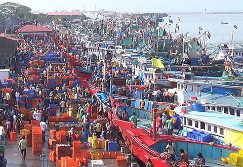 Why traditional fishermen in K'taka are against the use of LED lights in fishing