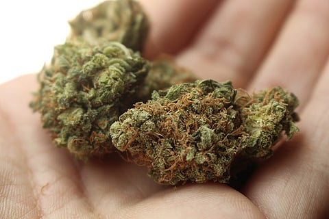 Inter-state gang transporting ganja from Vizag to Agra via train held in Secunderabad 