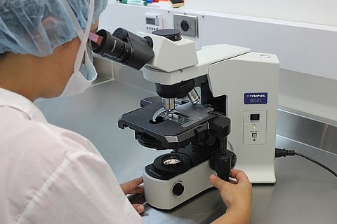 Microgravity used to create cells with stem cell properties may aid in cancer research 
