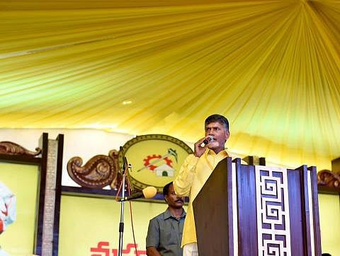 AP announces toll-free helpline for women in distress