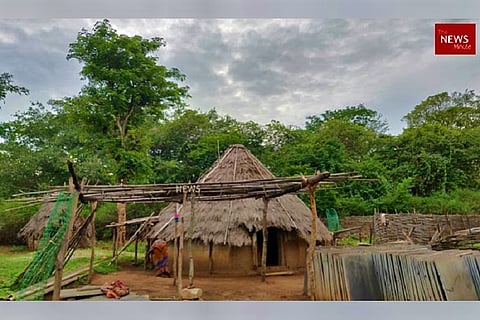 India’s rush for nuclear power may destroy Nallamala forest ecosystem 