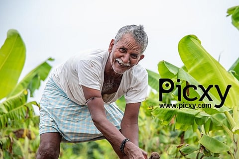 Stock photo company Picxy raises $250K from FirstCheque, Techstars and angel investors