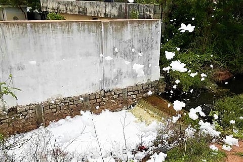 Sewage and animal waste made Hyderabad's RK Puram lake froth up, say officials