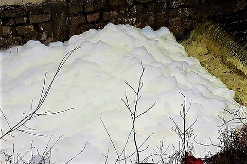 Crackdown continues on dumping of animal waste in Hyderabad lake, as water continues to froth