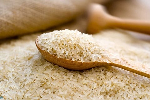 Rice 