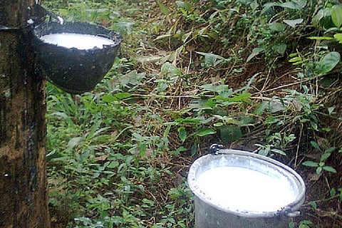 Congress slams Centre's rubber policy, says allocated fund ‘unrealistically low’