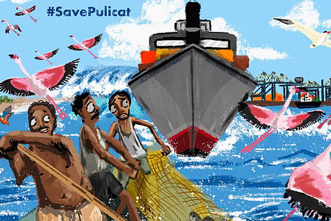 Citizens, activists oppose Adani port expansion in Chennai, say #StopAdaniSaveChennai
